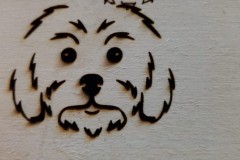 laser_engraver_test_3
