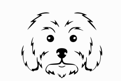 test_0005_Gray_256_preview